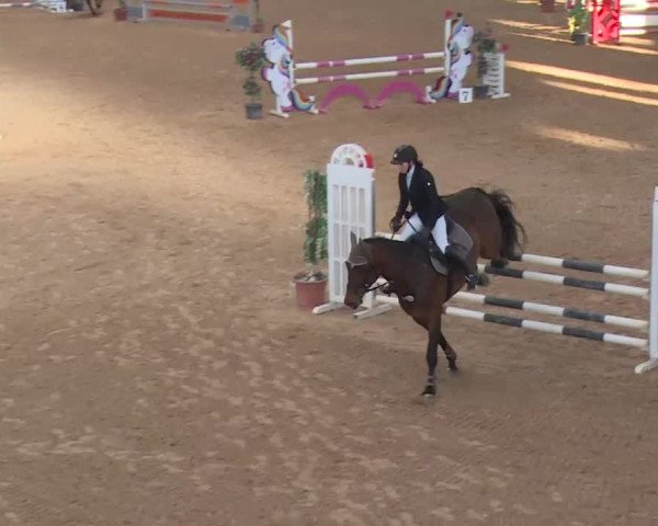 Reitturnier Kreuth 2018