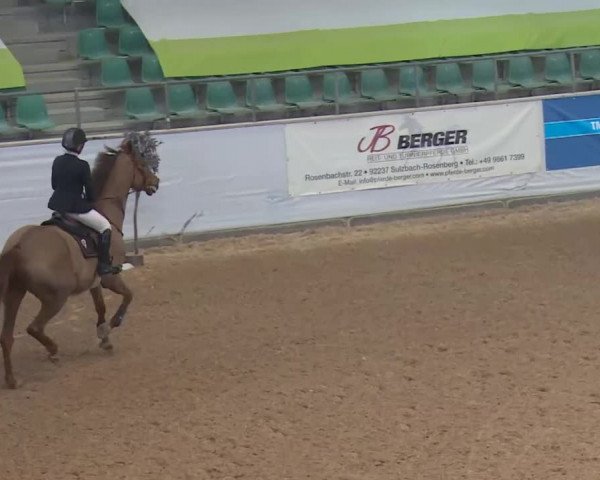 Reitturnier Kreuth 2018