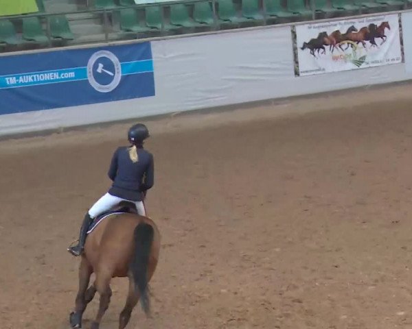 Reitturnier Kreuth 2018