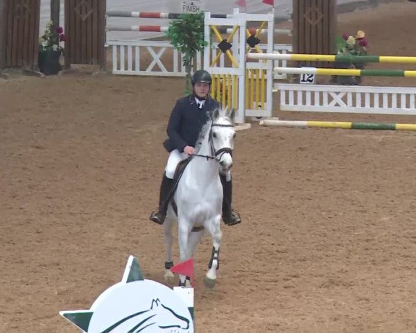 Reitturnier Kreuth 2018