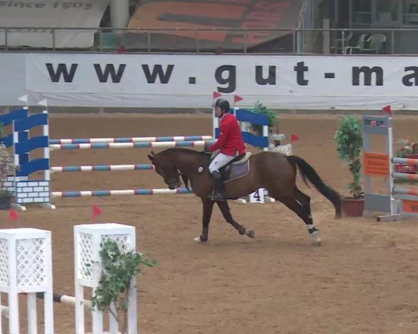 Reitturnier Kreuth 2018
