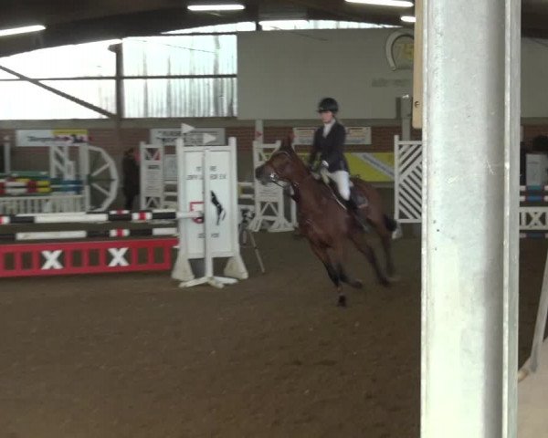 Reitturnier Lembeck 2018