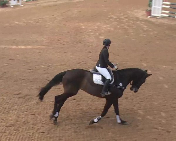Reitturnier Kreuth 2018