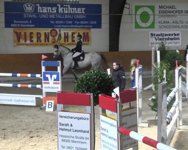 Reitturnier Viernheim 2018