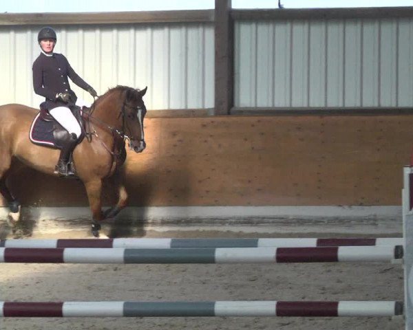 Reitturnier Viernheim 2018