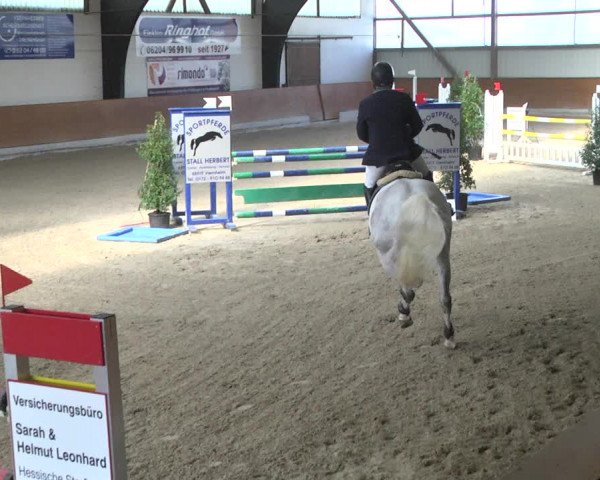 Reitturnier Viernheim 2018