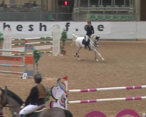 Reitturnier Kreuth 2018