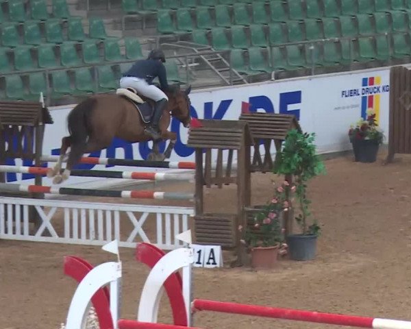 Reitturnier Kreuth 2018
