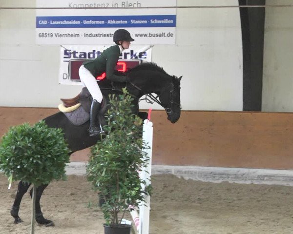 Reitturnier Viernheim 2018