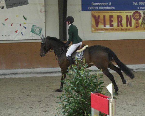 Reitturnier Viernheim 2018