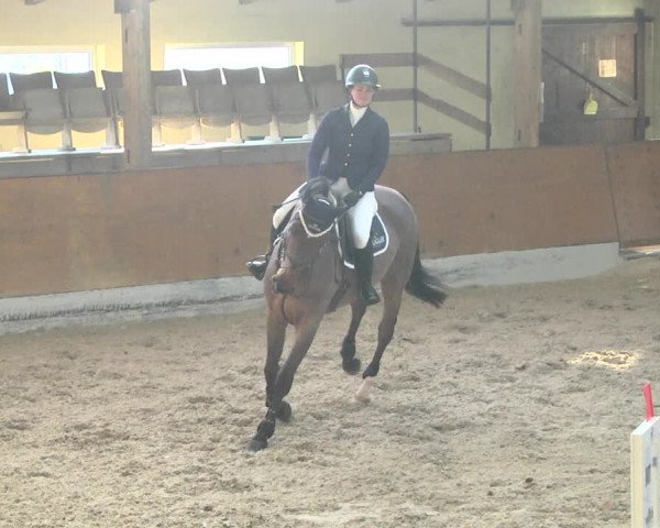 Reitturnier Viernheim 2018