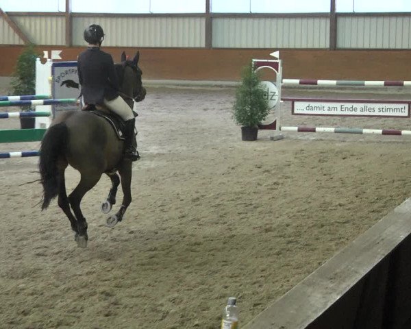 Reitturnier Viernheim 2018