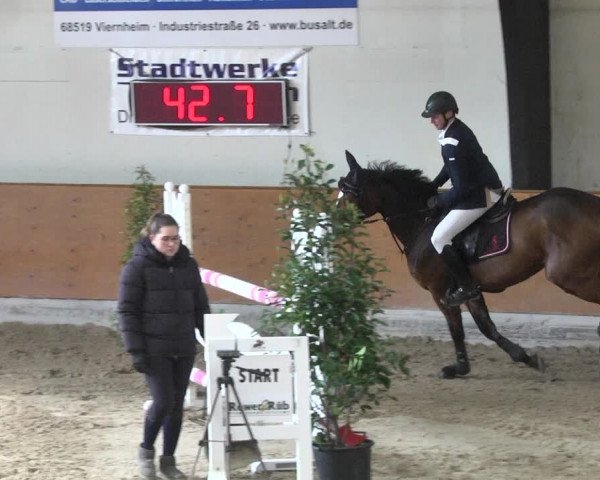 Reitturnier Viernheim 2018