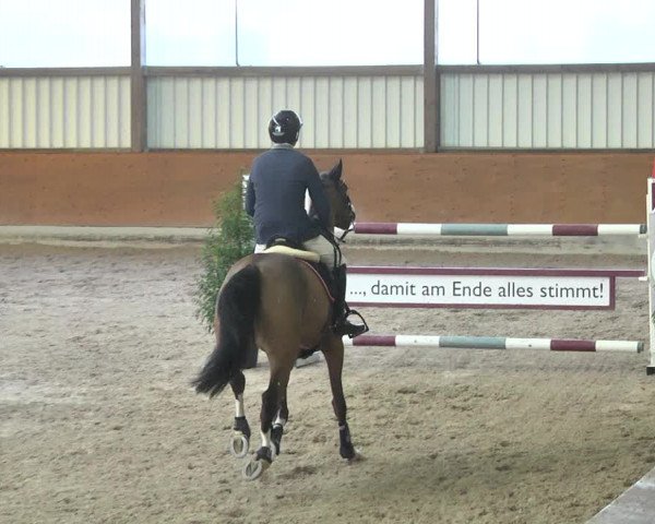 Reitturnier Viernheim 2018