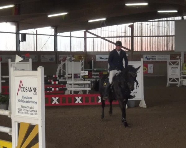 Reitturnier Lembeck 2018