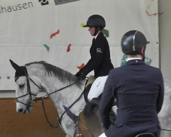 Reitturnier Viernheim 2018
