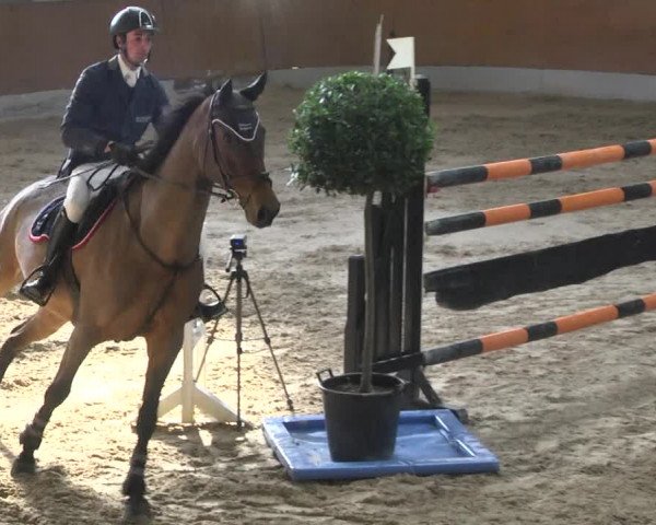Reitturnier Viernheim 2018