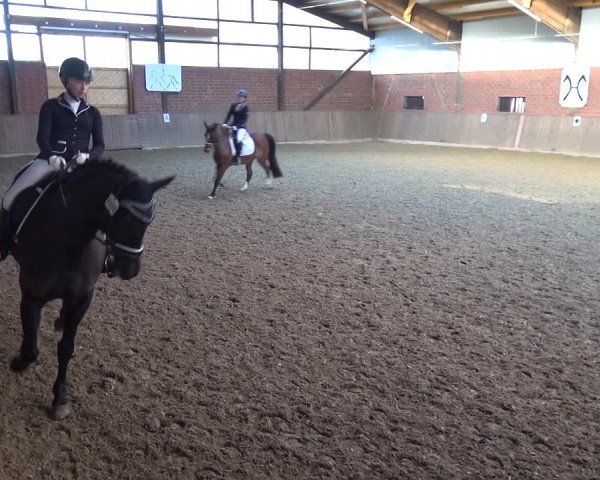Reitturnier Lembeck 2018