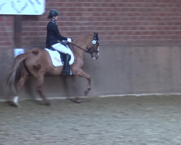 Reitturnier Lembeck 2018