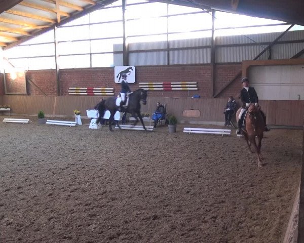 Reitturnier Lembeck 2018