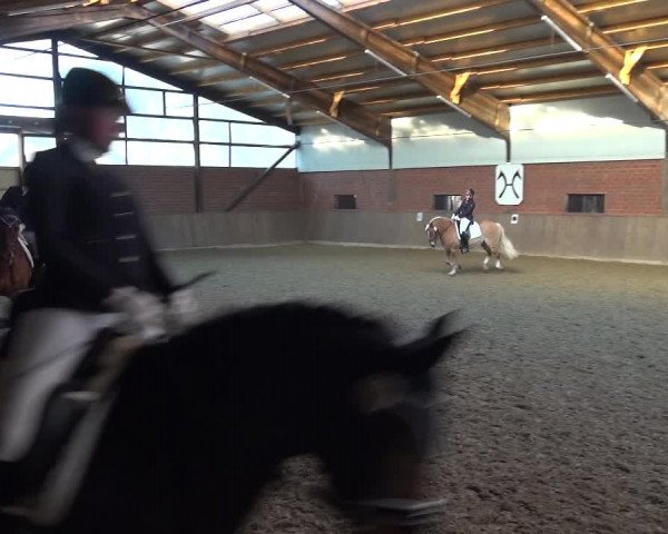 Reitturnier Lembeck 2018