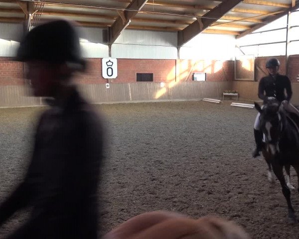 Reitturnier Lembeck 2018