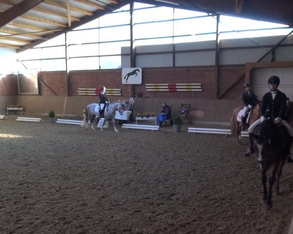 Reitturnier Lembeck 2018