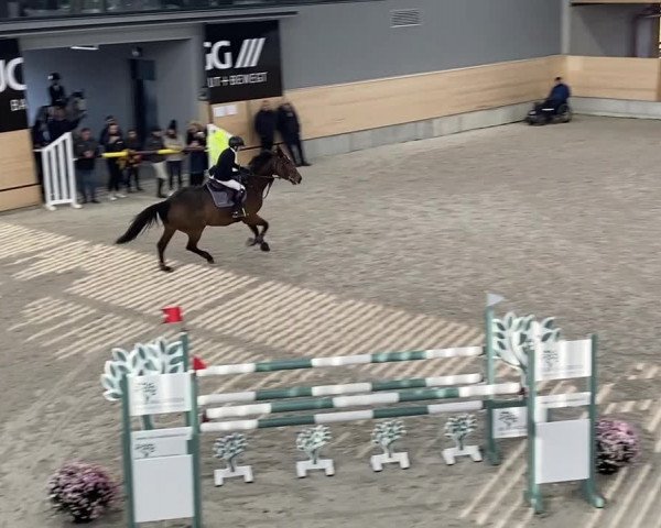 Reitturnier Roggwil 2021