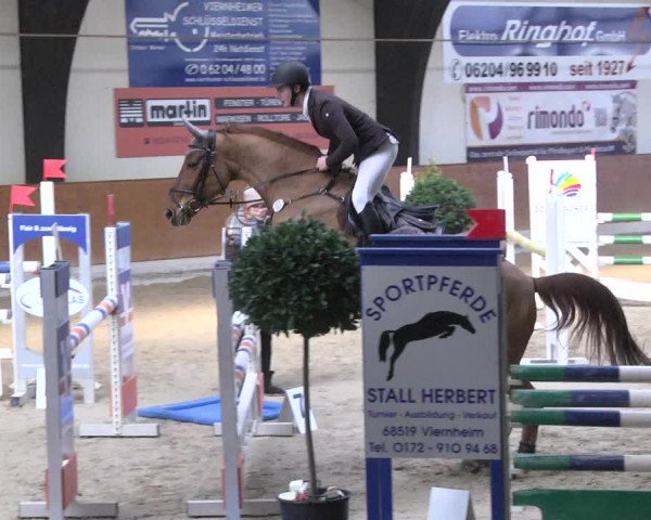 Reitturnier Viernheim 2018