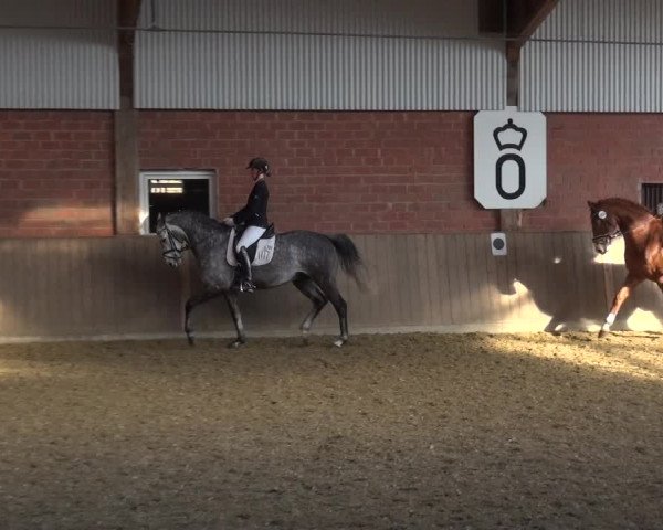 Reitturnier Lembeck 2018