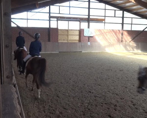 Reitturnier Lembeck 2018