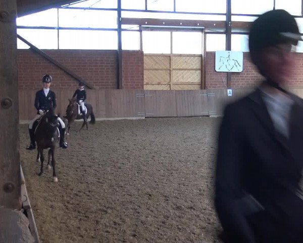 Reitturnier Lembeck 2018