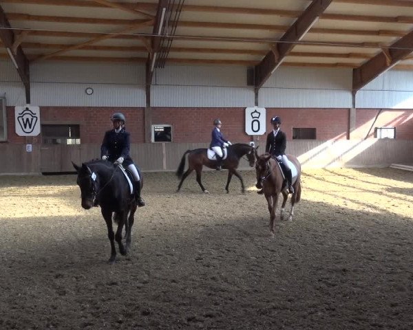 Reitturnier Lembeck 2018