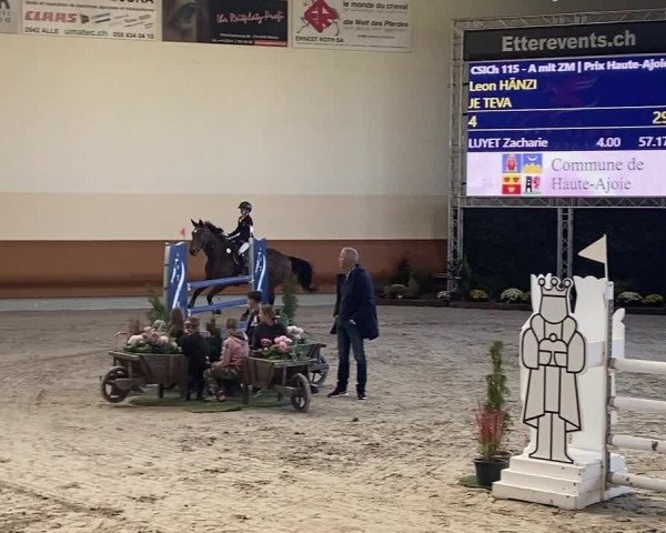 FEI Reitturnier Chevenez (SUI) 2021