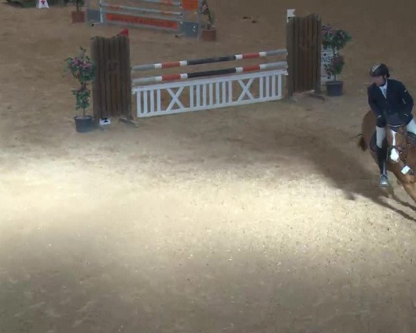 Reitturnier Kreuth 2018