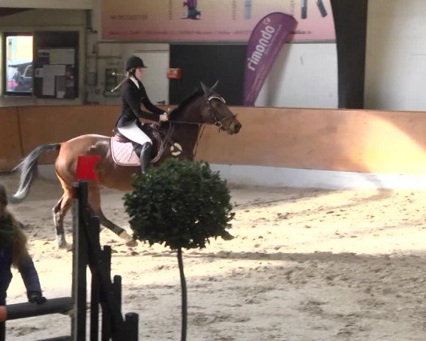 Reitturnier Viernheim 2018