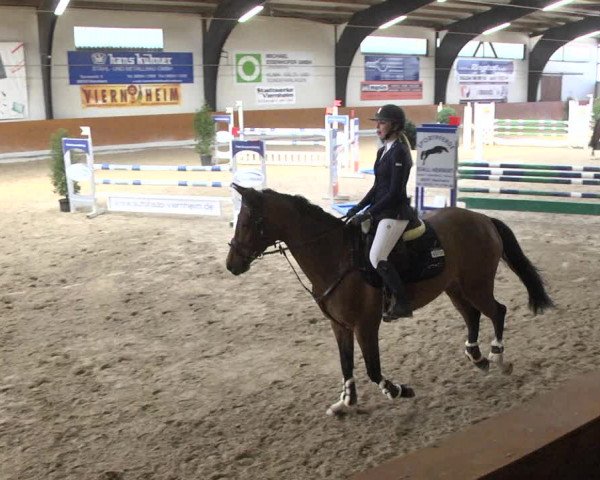 Reitturnier Viernheim 2018