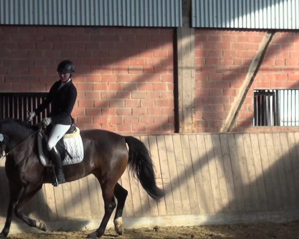 Reitturnier Lembeck 2018