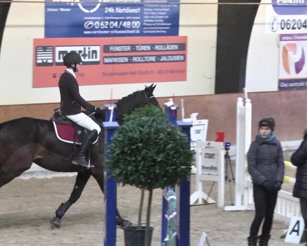 Reitturnier Viernheim 2018