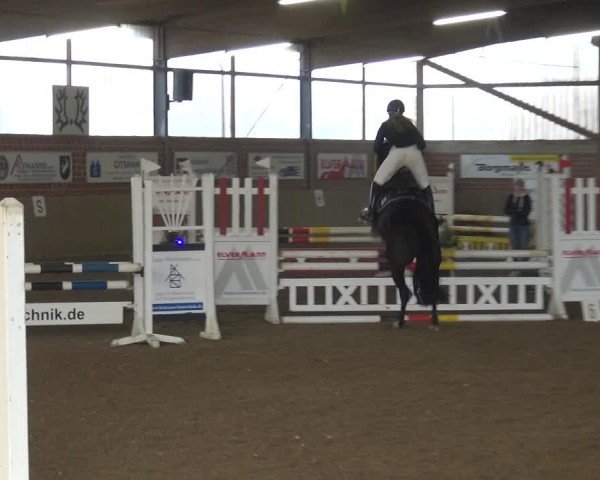 Reitturnier Lembeck 2018