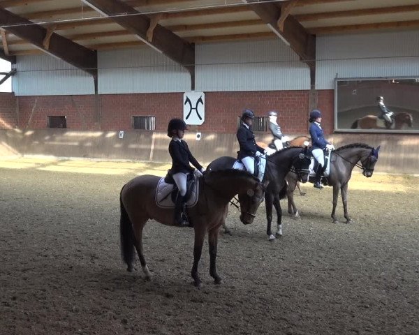 Reitturnier Lembeck 2018