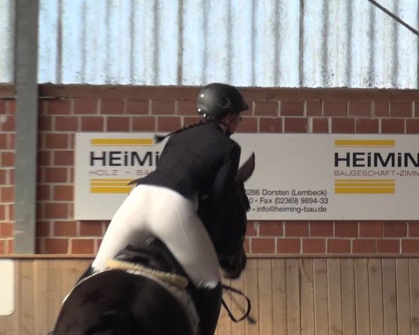 Reitturnier Lembeck 2018
