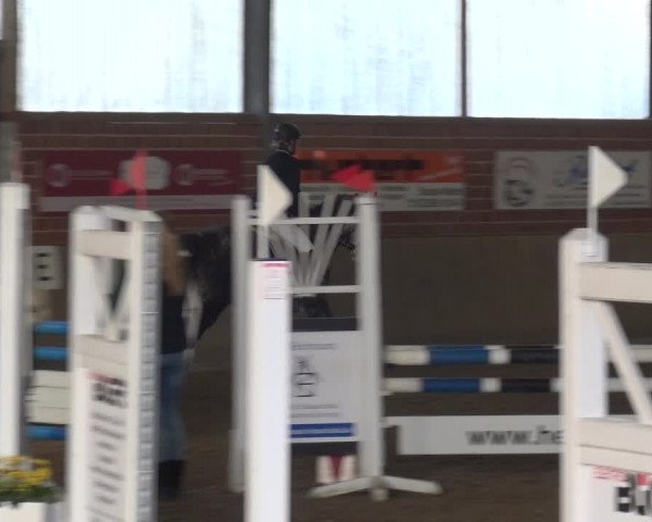 Reitturnier Lembeck 2018