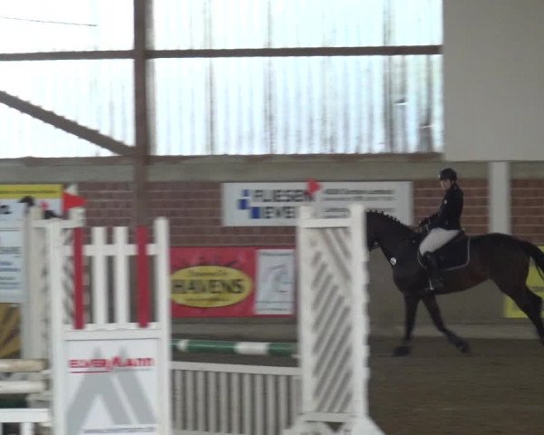 Reitturnier Lembeck 2018