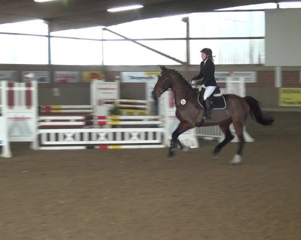 Reitturnier Lembeck 2018