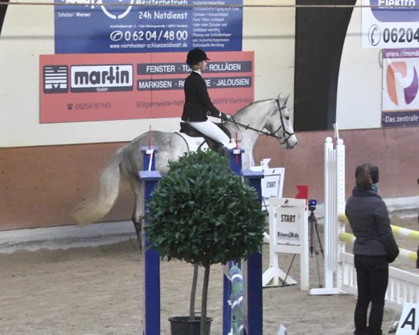 Reitturnier Viernheim 2018