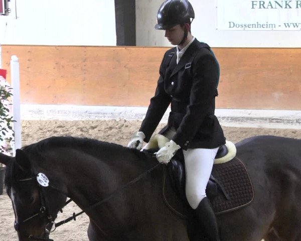 Reitturnier Viernheim 2018