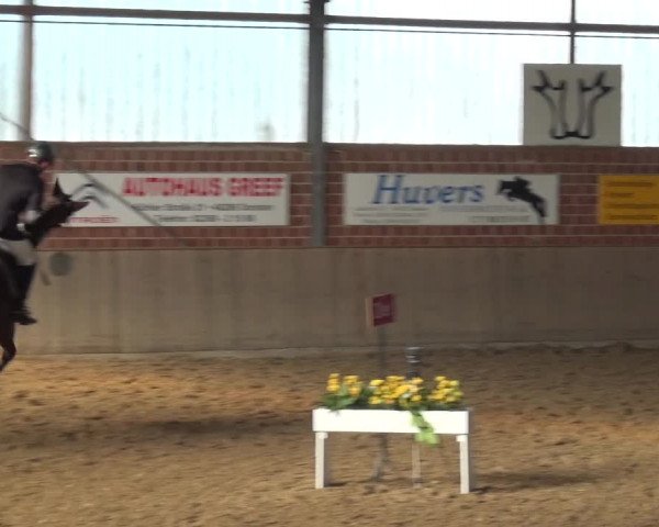 Reitturnier Lembeck 2018
