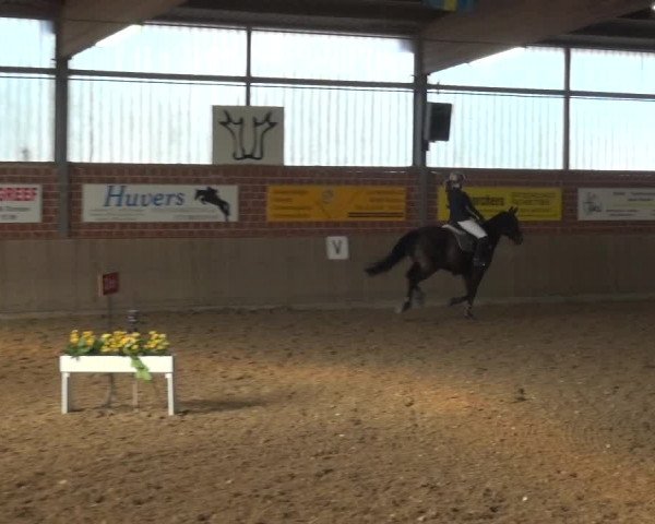 Reitturnier Lembeck 2018
