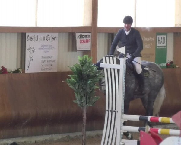 Reitturnier Dettingen 2018